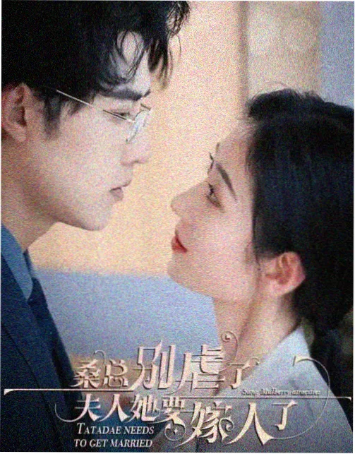西瓜视频免费看电视剧-雍正王朝